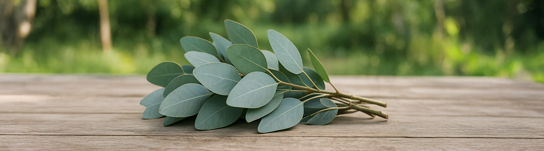 Cool. Clean. Eucalyptus.