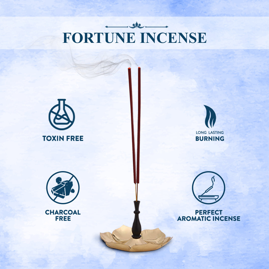 Fortune Incense Sticks (250g) Attract Prosperity Hem Fragrances HEM Fragrances