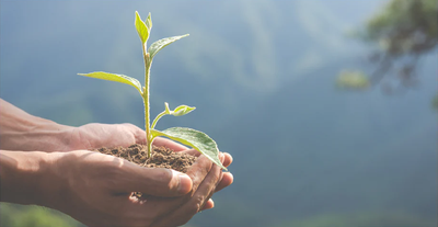 Sustainably Sources