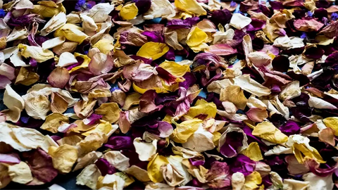 Transform Your Space: The Ultimate Guide to Using Potpourri