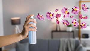 How to Choose the Best Room Freshener to Revitalise Your Home