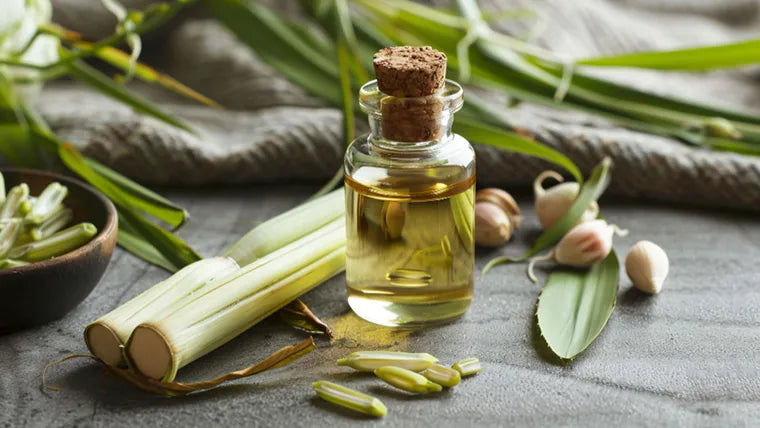 Lemongrass Oil : Uses and Benefits for Mind and Body!