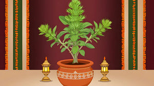 Tulsi Vivah: Significance, Rituals & Traditions