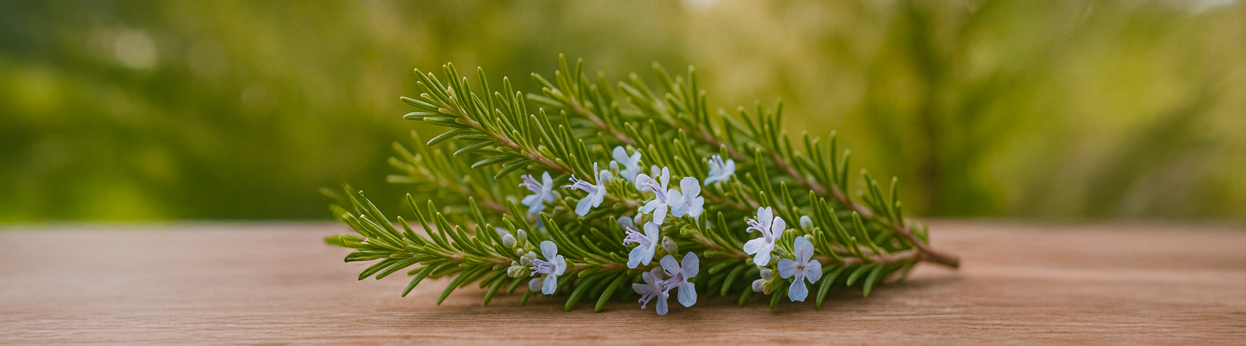 Sharp. Herbal. Rosemary.