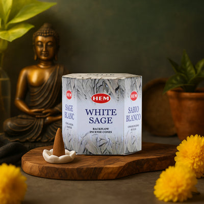 HEM White Sage Backflow Dhoop Cones Pack of 40 Cones