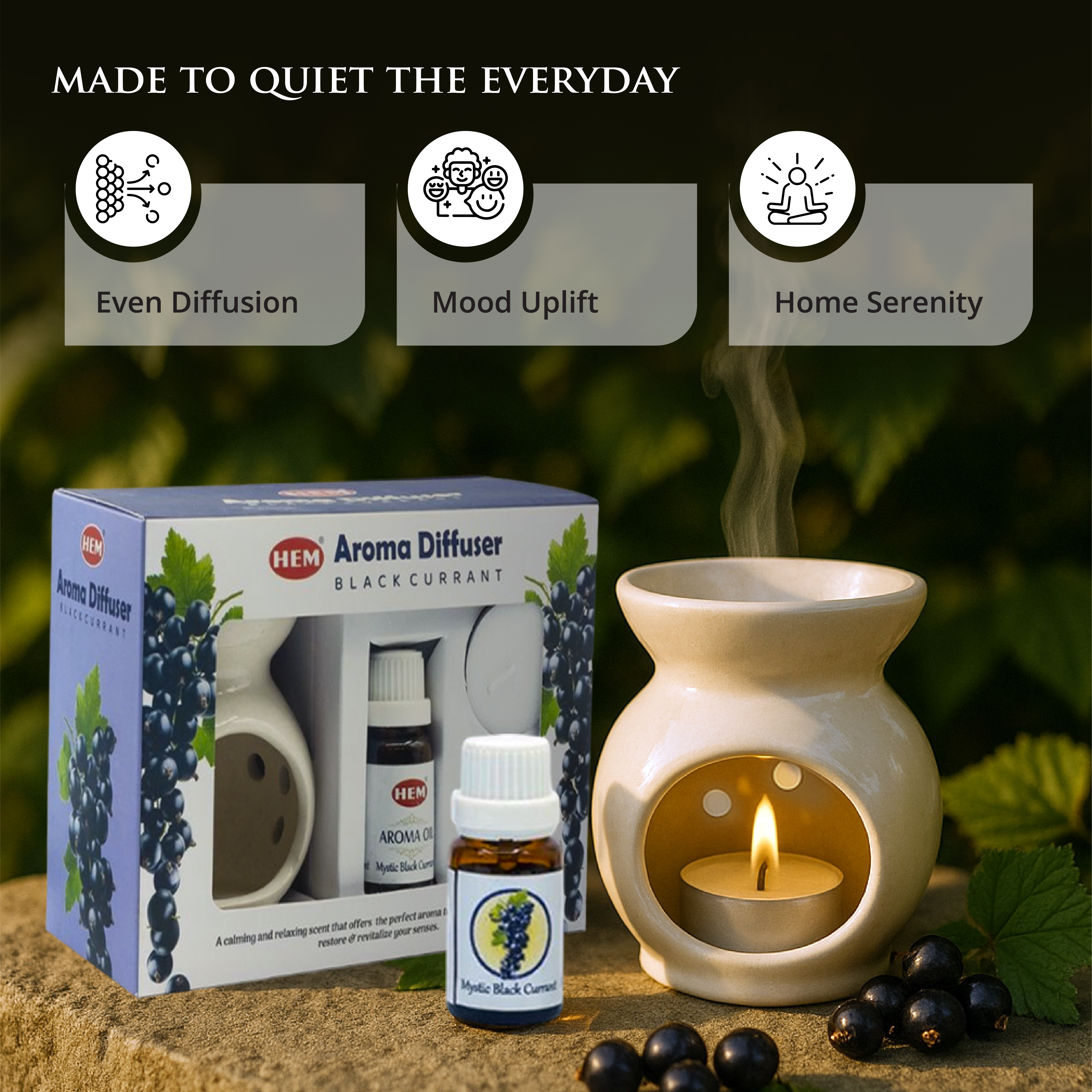 HEM Black Currant Aroma Diffuser Gift Set
