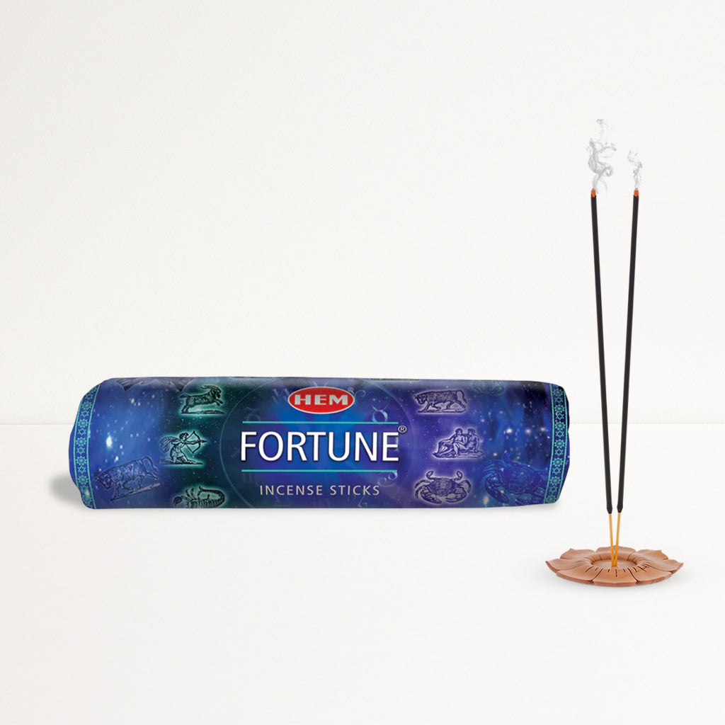 HEM Fortune Incense Sticks (250g)