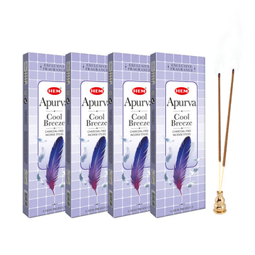 HEM Apurva Charcoal-Free Incense Stick (90g Each)