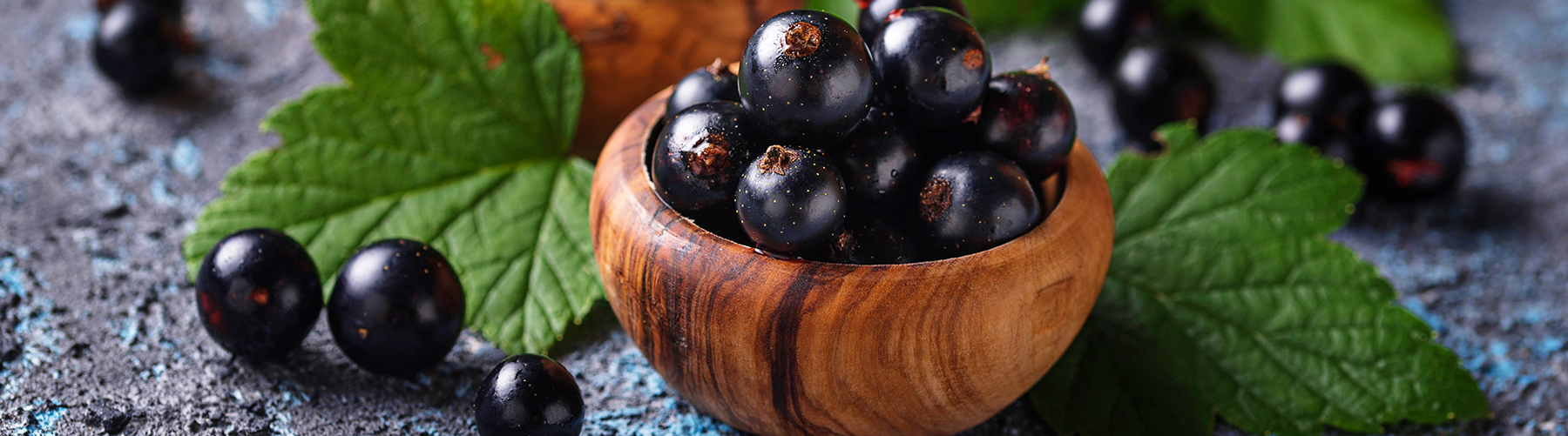 Bold. Fruity. Black Currant.