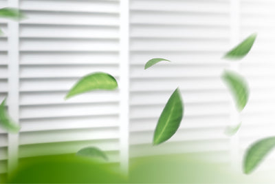 CLEAN AIR, CALM SPACES
