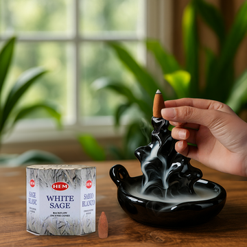 HEM White Sage Backflow Dhoop Cones Pack of 40 Cones