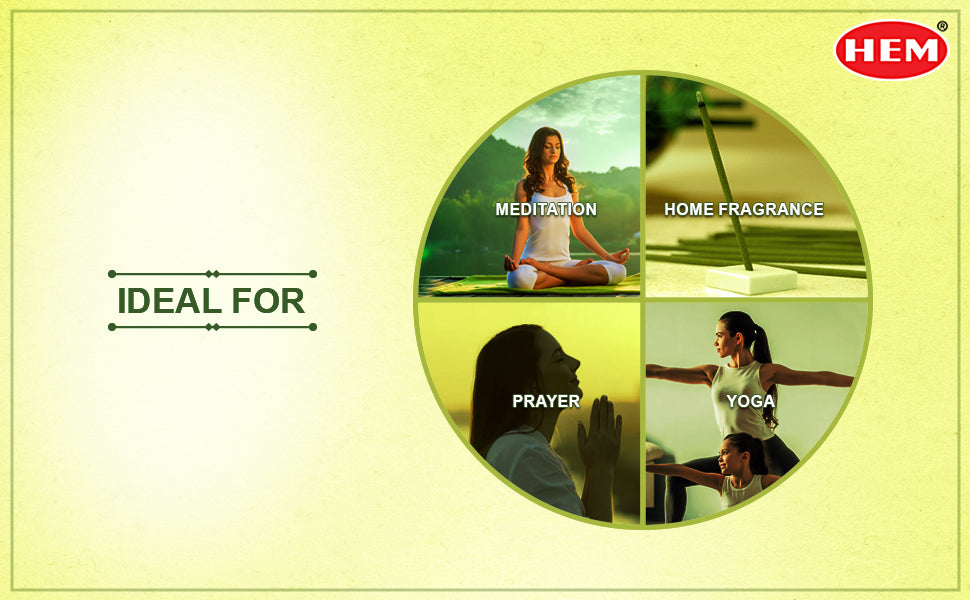 HEM HERB collection Incense Sticks combo pack of 6 (20 Sticks Each)